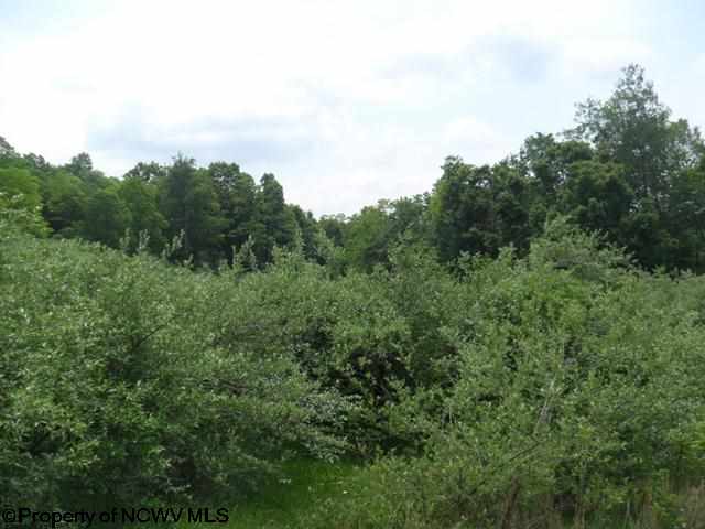 5036 South Mill Creek Road Road
