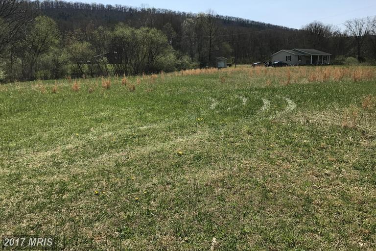 2201 TROUT RUN ROAD, Wardensville, WV 26851