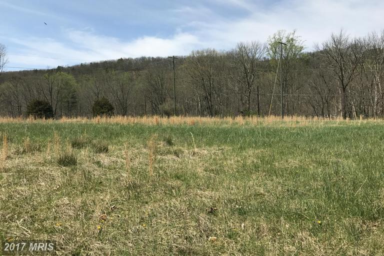 2201 TROUT RUN ROAD, Wardensville, WV 26851