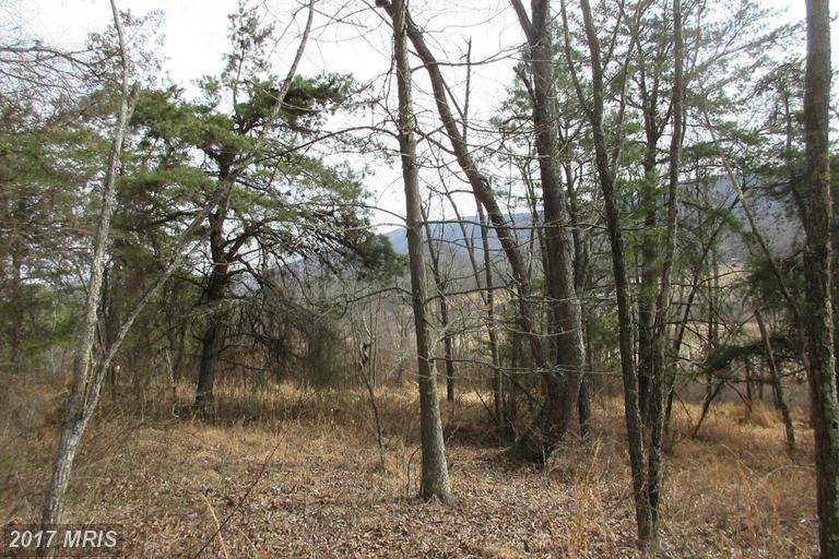 ROUTE 23/10 TROUT RUN ROA, Wardensville, WV 26851