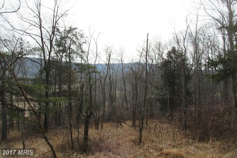 ROUTE 23/10 TROUT RUN ROA, Wardensville, WV 26851
