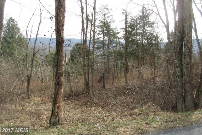 ROUTE 23/10 TROUT RUN ROA, Wardensville, WV 26851