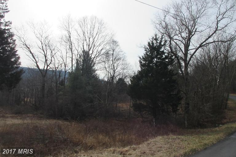 ROUTE 23/10 TROUT RUN ROA, Wardensville, WV 26851