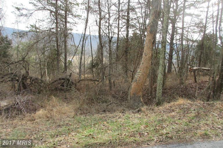 ROUTE 23/10 TROUT RUN ROA, Wardensville, WV 26851