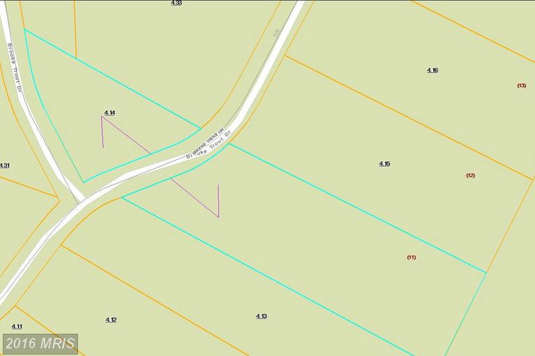 BROOKE TROUT DRIVE, Wardensville, WV 26851