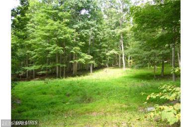 BROOKE TROUT DRIVE, Wardensville, WV 26851