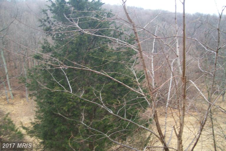 PROCTOR ROAD, Purgitsville, WV 26852