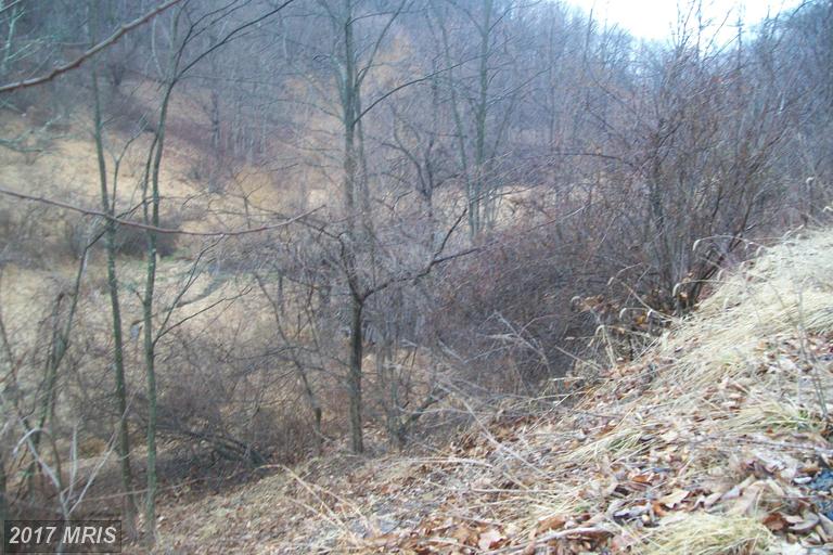 PROCTOR ROAD, Purgitsville, WV 26852
