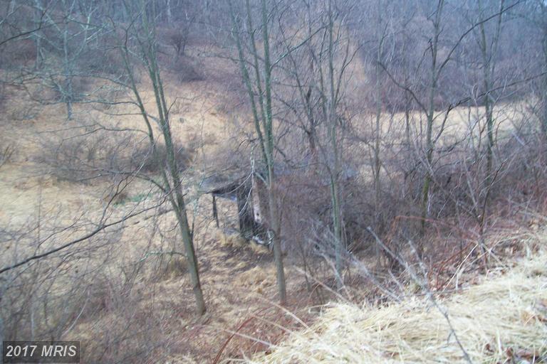 PROCTOR ROAD, Purgitsville, WV 26852
