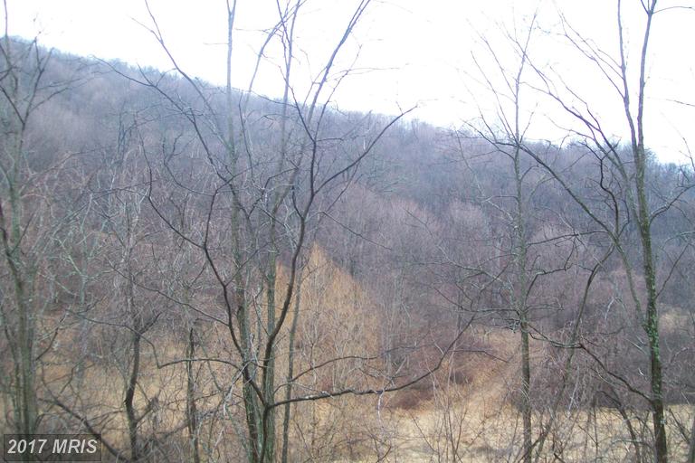PROCTOR ROAD, Purgitsville, WV 26852