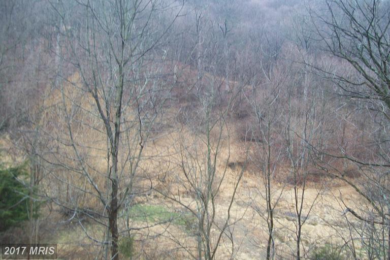 PROCTOR ROAD, Purgitsville, WV 26852
