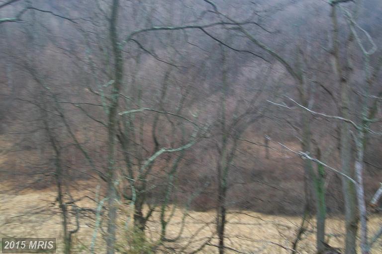 PROCTOR ROAD, Purgitsville, WV 26852