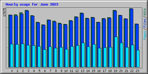 Hourly usage for June 2023